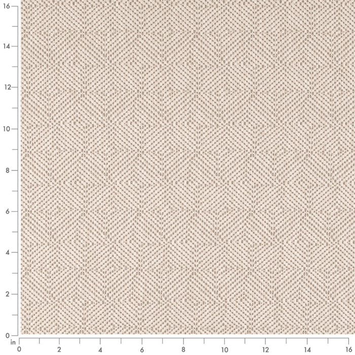 D5023 Bone VALUE MODERN (Charlotte Fabrics)