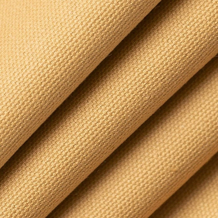 CB600-259 (Charlotte Fabrics)