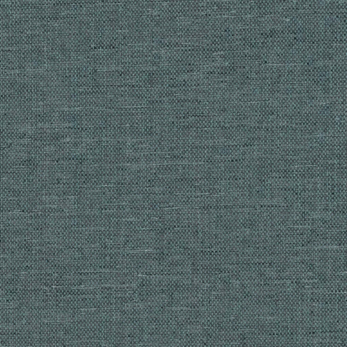 D2527 RAIN (Charlotte Fabrics)
