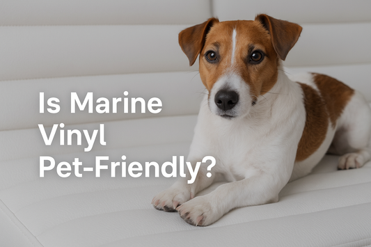 Is Marine Vinyl Pet-Friendly? A Look at Durability and Cleanability