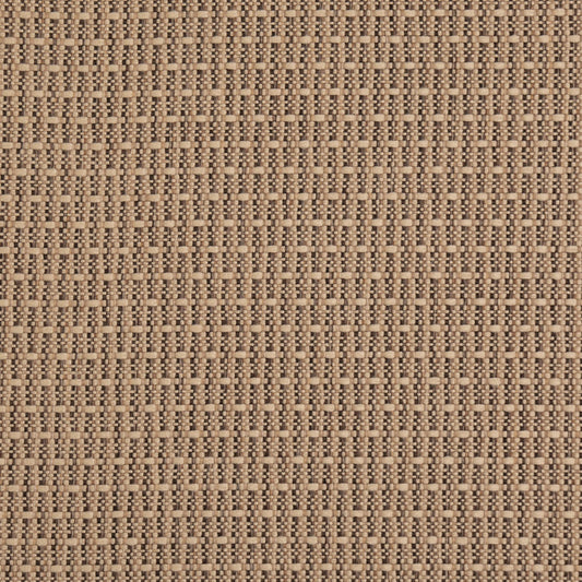 D5000 Biscotti VALUE CLASSICS (Charlotte Fabrics)