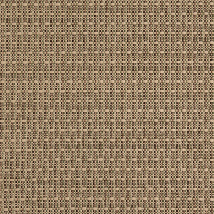 D5001 Lichen VALUE CLASSICS (Charlotte Fabrics)