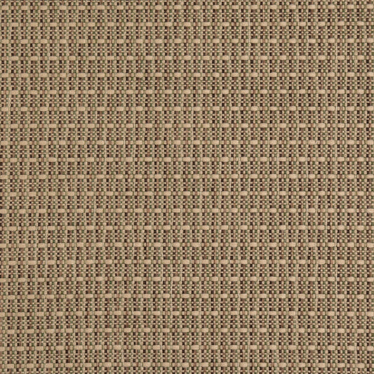 D5001 Lichen VALUE CLASSICS (Charlotte Fabrics)
