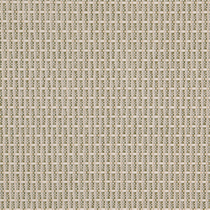D5002 Basil VALUE CLASSICS (Charlotte Fabrics)