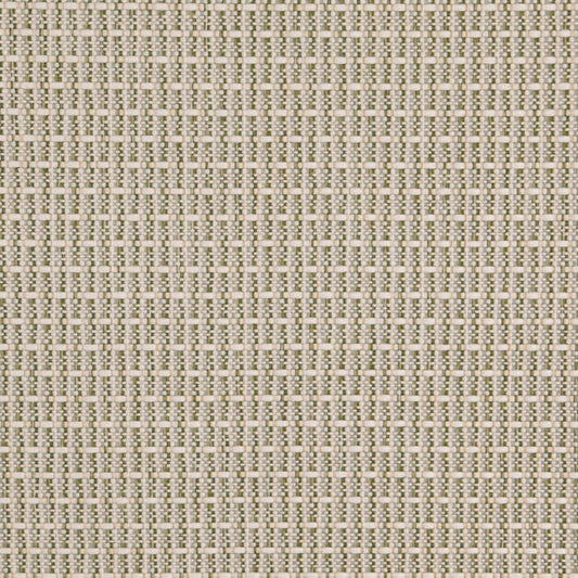 D5002 Basil VALUE CLASSICS (Charlotte Fabrics)