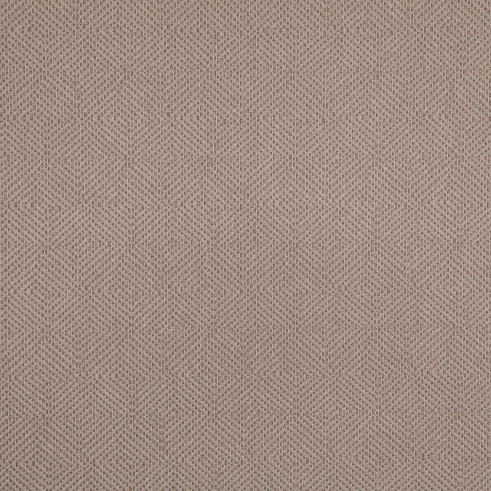 D5024 Dove VALUE MODERN (Charlotte Fabrics)