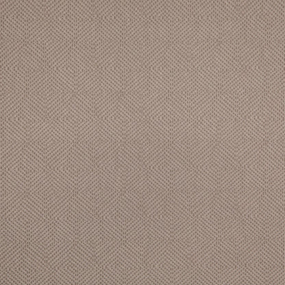 D5024 Dove VALUE MODERN (Charlotte Fabrics)