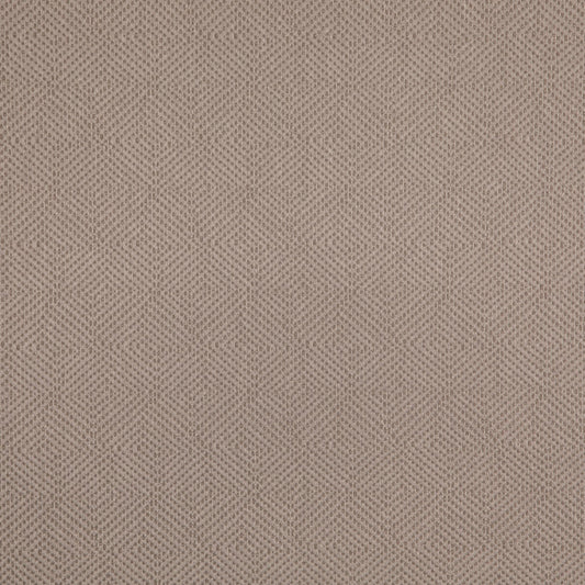 D5024 Dove VALUE MODERN (Charlotte Fabrics)