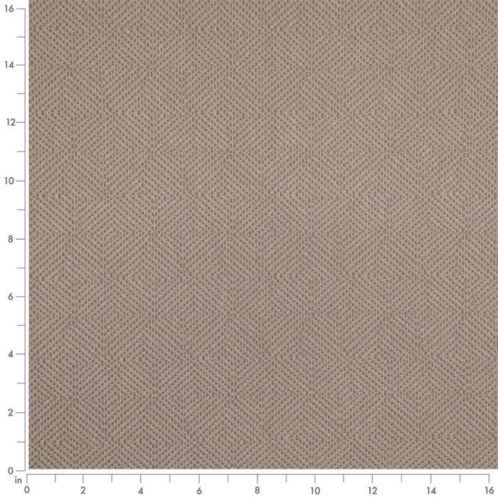 D5024 Dove VALUE MODERN (Charlotte Fabrics)
