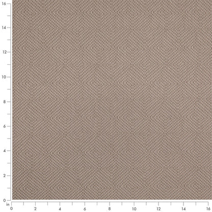 D5024 Dove VALUE MODERN (Charlotte Fabrics)
