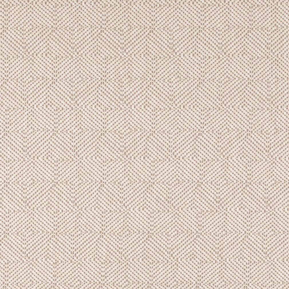 D5023 Bone VALUE MODERN (Charlotte Fabrics)