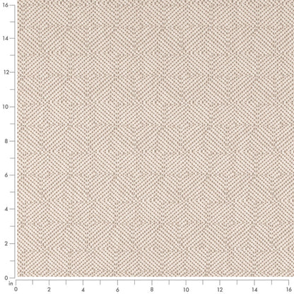 D5023 Bone VALUE MODERN (Charlotte Fabrics)