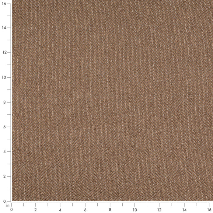 D5022 Sable VALUE MODERN (Charlotte Fabrics)
