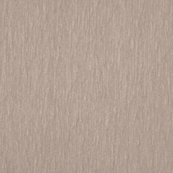 D4959 Dove VALUE CHENILLE (Charlotte Fabrics)