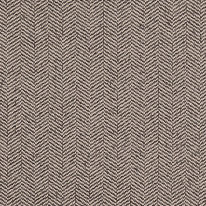 D5008 Gunmetal VALUE MODERN (Charlotte Fabrics)