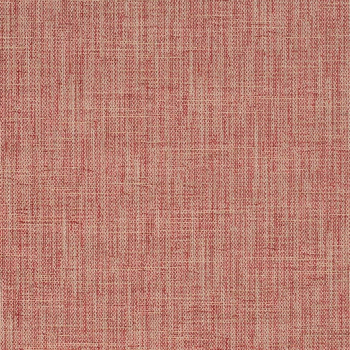 CB700-539 (Charlotte Fabrics)