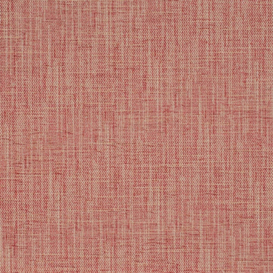 CB700-539 (Charlotte Fabrics)