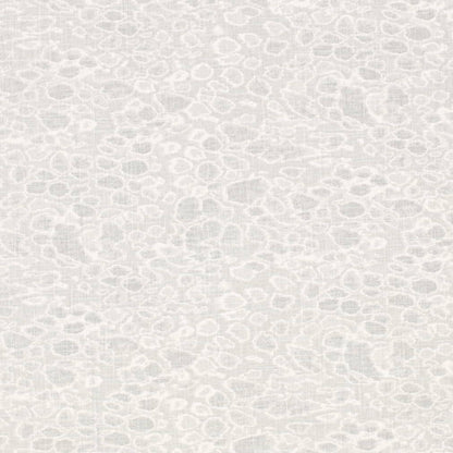 CB700-586 (Charlotte Fabrics)