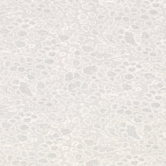 CB700-586 (Charlotte Fabrics)