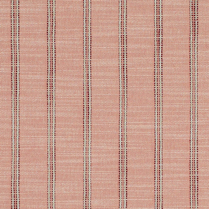 CB700-627 SHADES OF WILD ROSE (Charlotte Fabrics)