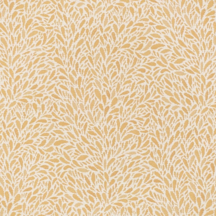 CB800-452 (Charlotte Fabrics)