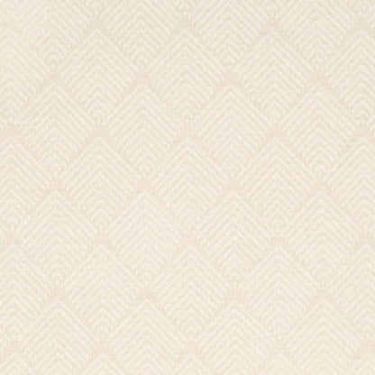 CB800-479 (Charlotte Fabrics)