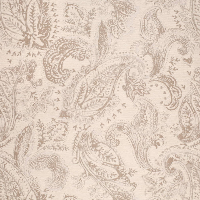 CB800-489 (Charlotte Fabrics)