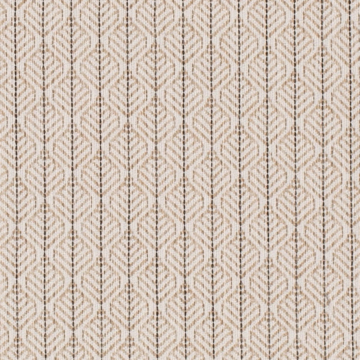 CB800-498 (Charlotte Fabrics)