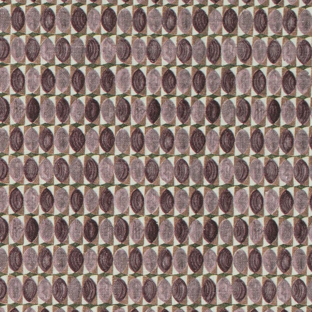 CB900-197 SHADES OF WILD ROSE (Charlotte Fabrics)