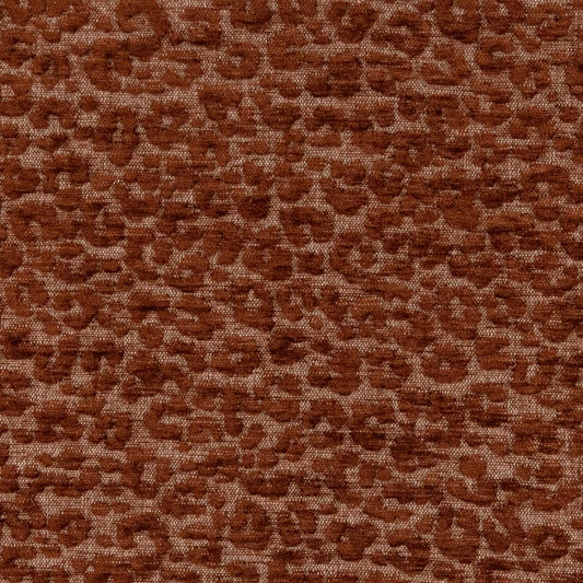 CB900-72 (Charlotte Fabrics)