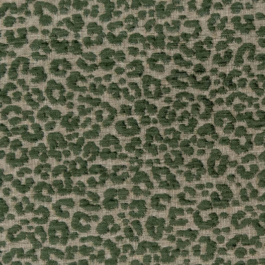 CB900-99 (Charlotte Fabrics)