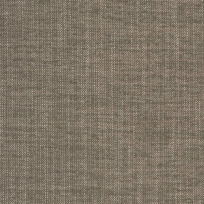 D1703 SLATE (Charlotte Fabrics)