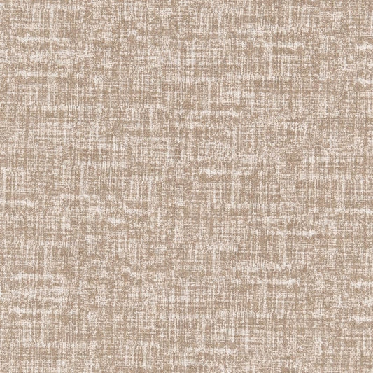 D2487 ACORN (Charlotte Fabrics)