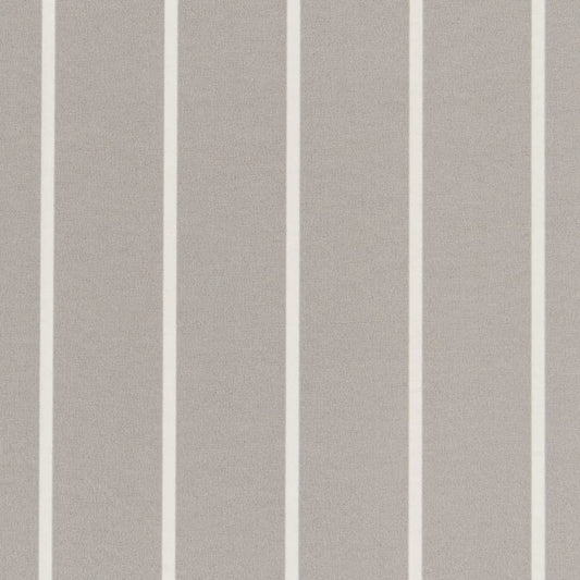 D2491 GREY (Charlotte Fabrics)