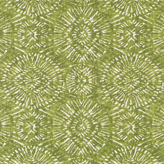 D2498 LIME (Charlotte Fabrics)