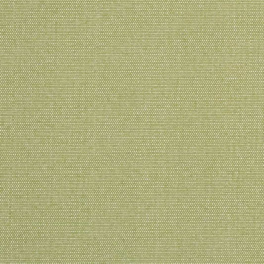 D2521 PEAR (Charlotte Fabrics)