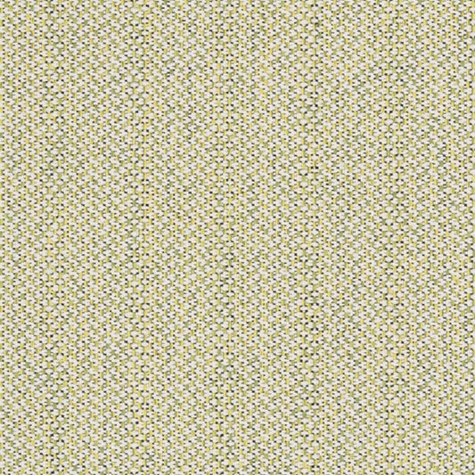 D2532 SPRING (Charlotte Fabrics)