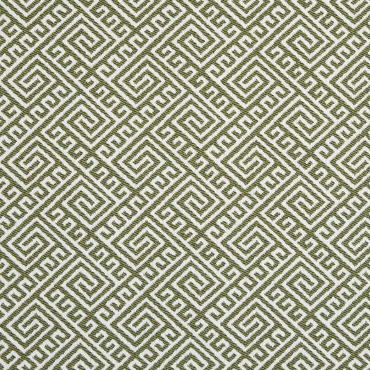 D2553 LIME (Charlotte Fabrics)