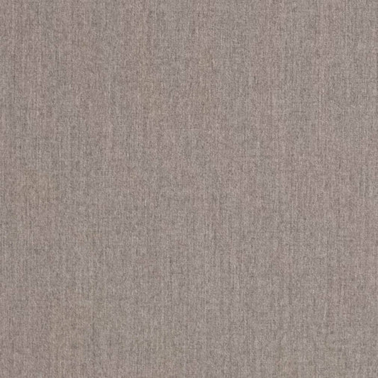 D3421 SHALE (Charlotte Fabrics)