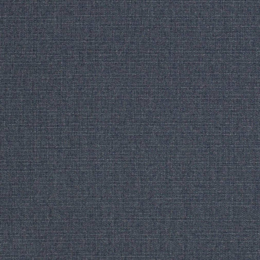 D3425 DENIM (Charlotte Fabrics)