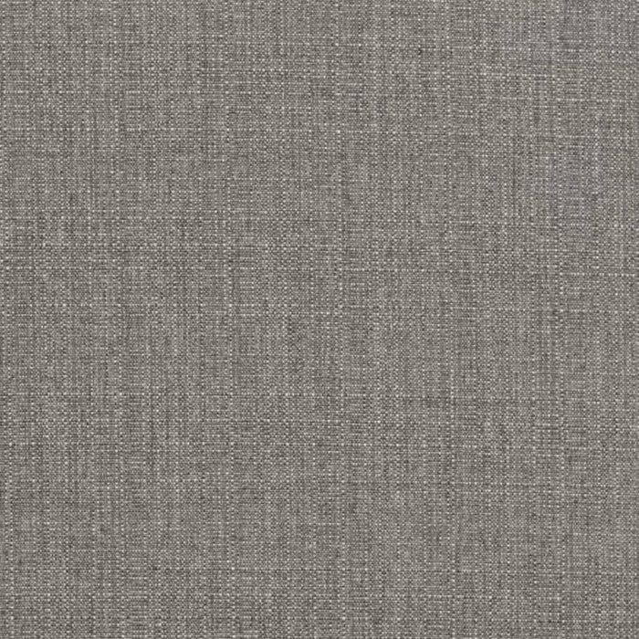 D3429 STONE (Charlotte Fabrics)