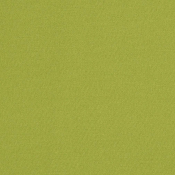 D3451 LIME (Charlotte Fabrics)