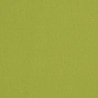 D3451 LIME (Charlotte Fabrics)