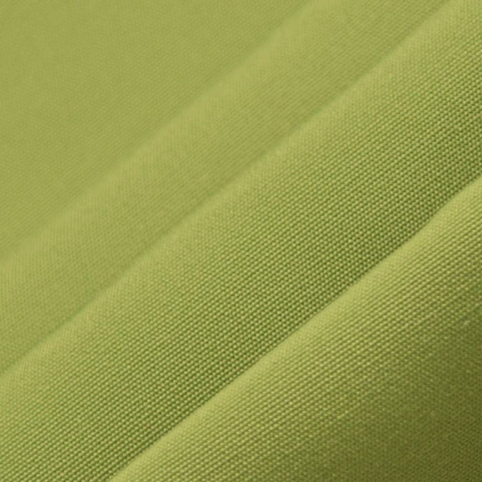 D3451 LIME (Charlotte Fabrics)