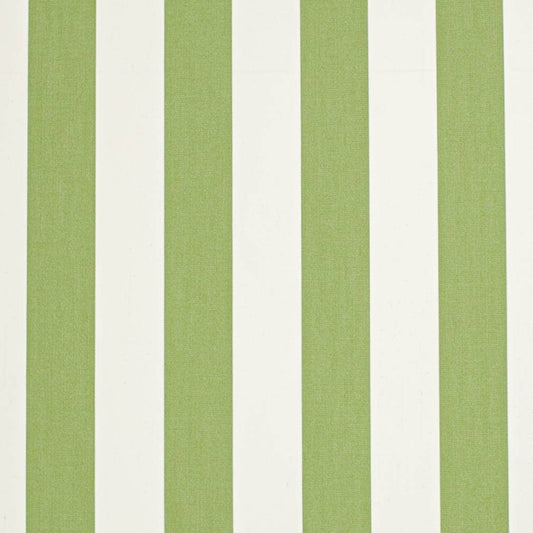 D3485 CABANA LIME (Charlotte Fabrics)