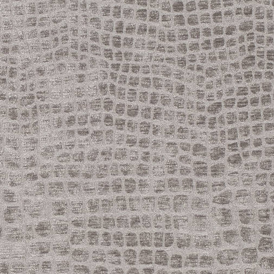 D3769 DOVE (Charlotte Fabrics)