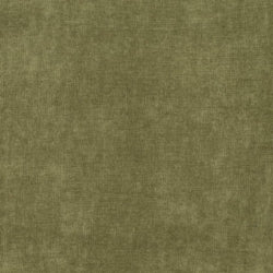 D3813 GRASS  (Charlotte Fabrics)