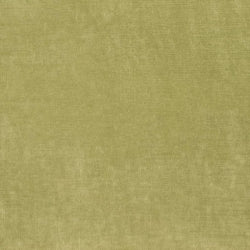 D3816 AVOCADO  (Charlotte Fabrics)