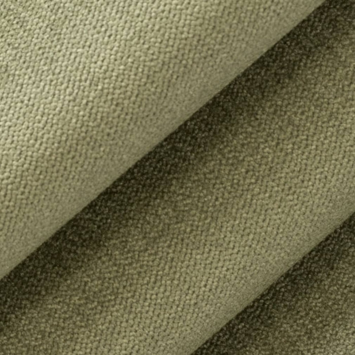 D3834 FERN (Charlotte Fabrics)