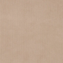 D3895 TAUPE (Charlotte Fabrics)